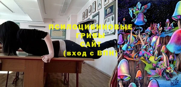МДПВ Кодинск