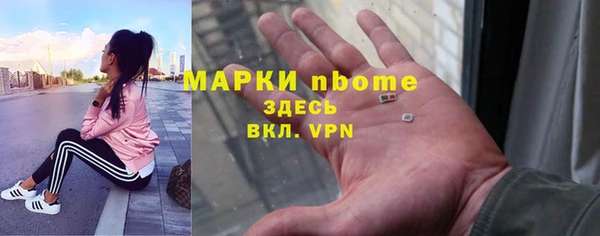 сатива Козельск