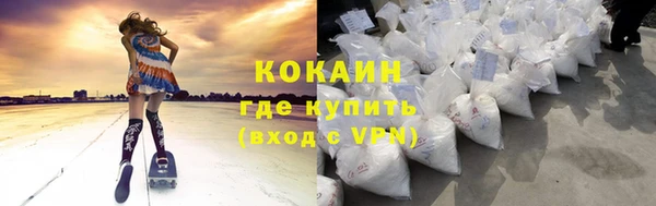 сатива Козельск