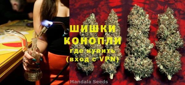 сатива Козельск