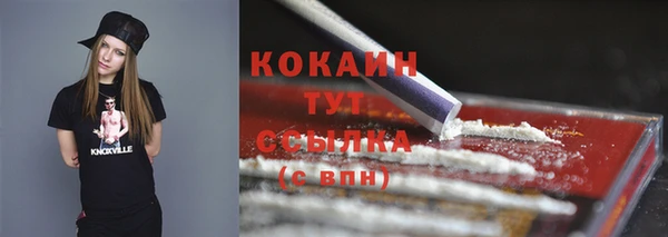 сатива Козельск