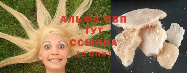 сатива Козельск