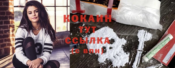 сатива Козельск