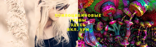 сатива Козельск