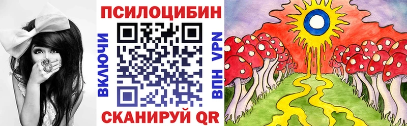 Купить закладки  Гай  Галлюциногенные грибы мицелий 