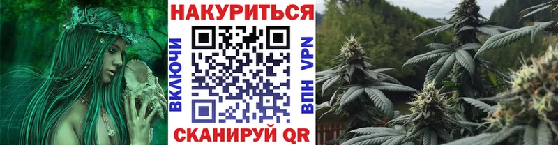 Канабис гибрид  Купить  Гай 